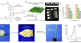 3D printing of MenLp1–IsoLp2 (30:70 wt%) and depolymerization of printed parts. Image via University of Birmingham.